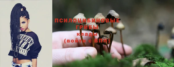 синтетический гашиш Михайловск