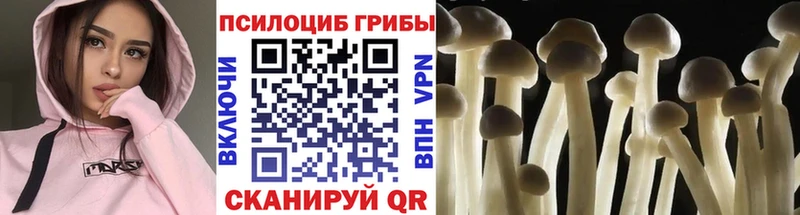 Псилоцибиновые грибы мицелий  Купить где  Приозерск 