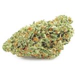 Шишки OG Kush  (Гидропоника, бошки) VHQ в Приозерске